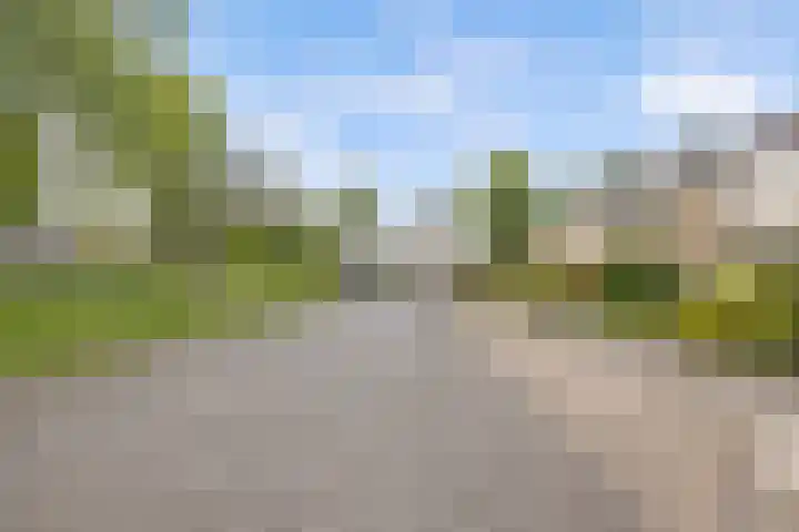 Zuiderplantsoen 2 De Meern thumbnail 51