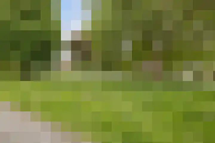Zuiderplantsoen 2 De Meern thumbnail 52