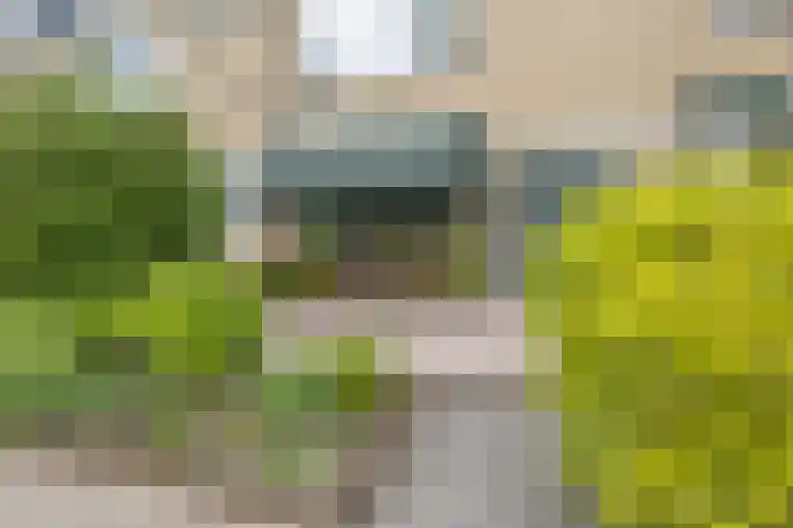 Zuiderplantsoen 2 De Meern thumbnail 53