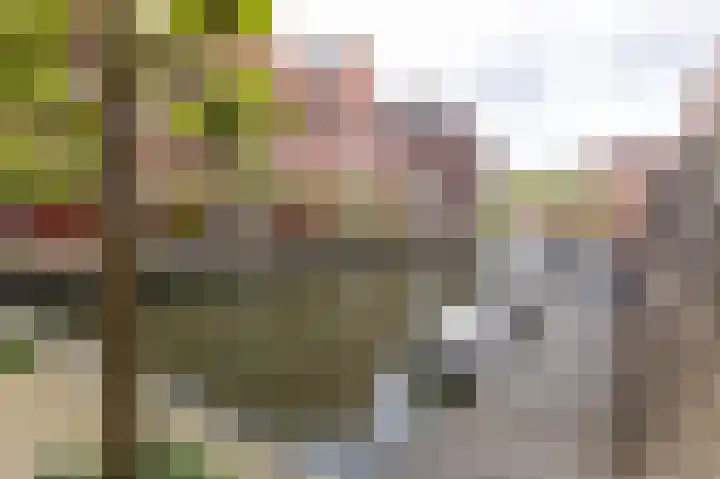 Zuiderplantsoen 35 Hoorn thumbnail 4