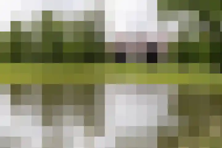Zuiderplantsoen 35 Hoorn thumbnail 44