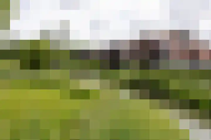 Zuiderplantsoen 35 Hoorn thumbnail 45