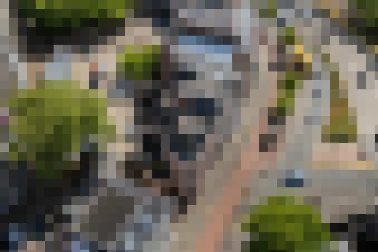 Zuiderplein 27 Leeuwarden thumbnail 64