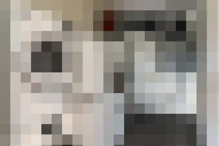 Zuiderpoort 10 A Echt thumbnail 34