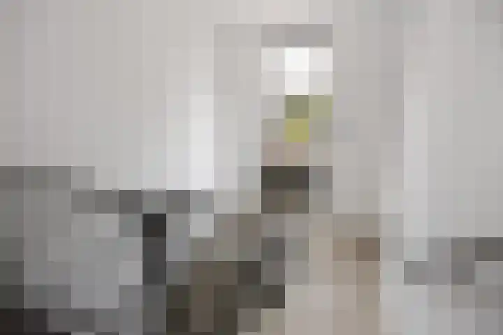 Zuiderpoort 20 Assen thumbnail 17