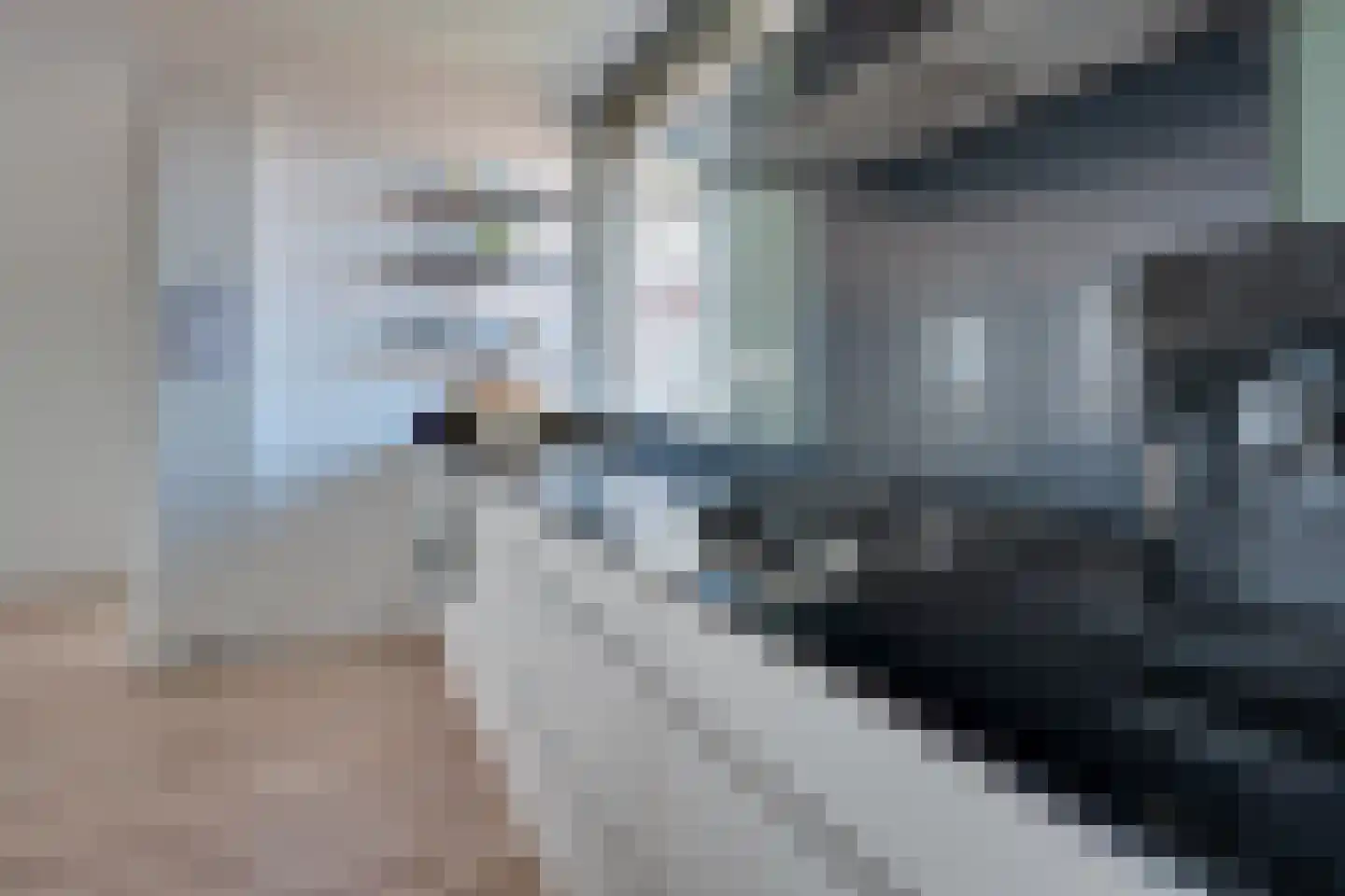 Zuiderpoort 22 Assen thumbnail 11