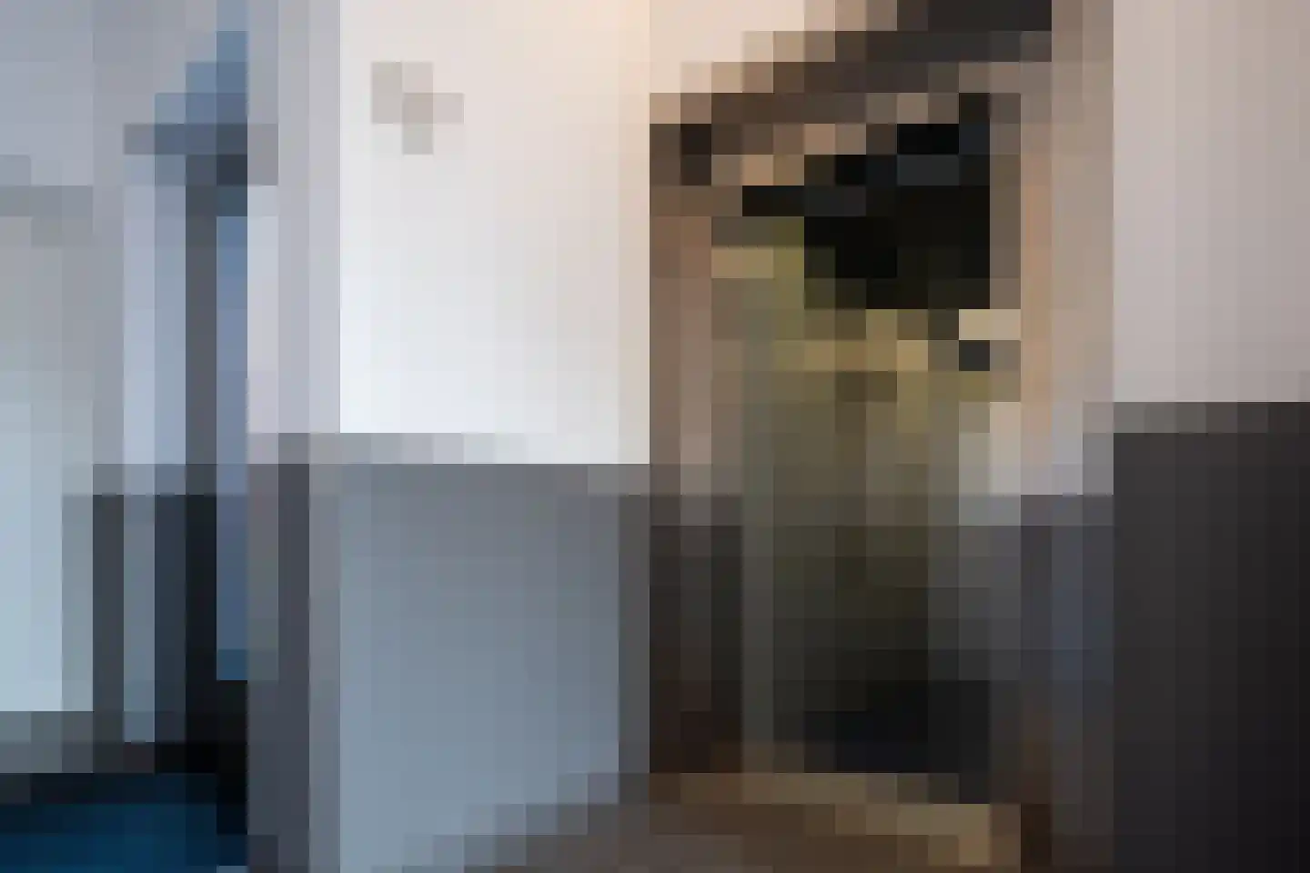 Zuiderpoort 22 Assen thumbnail 18