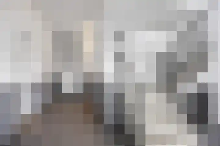 Zuiderpoort 30 Assen thumbnail 22