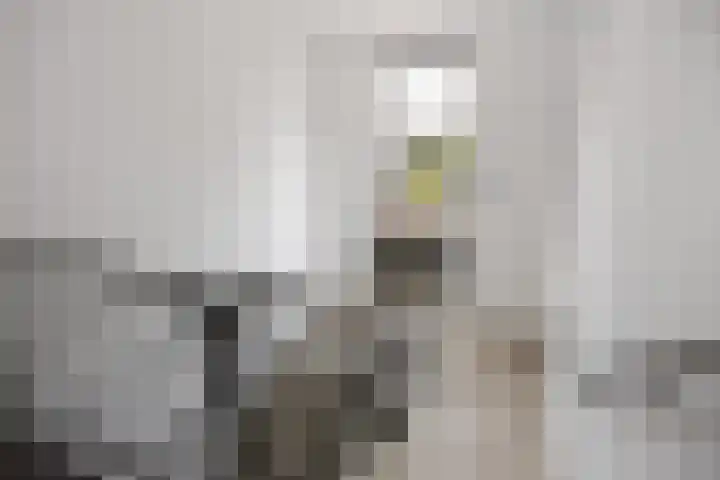 Zuiderpoort 30 Assen thumbnail 24
