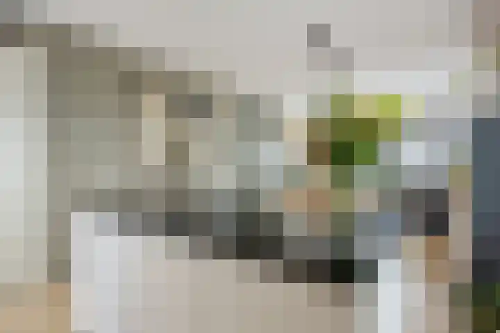 Zuiderpoort 30 Assen thumbnail 37