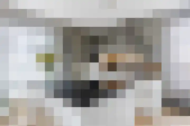 Zuiderpoort 30 Assen thumbnail 4