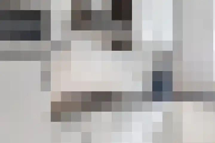 Zuiderpoort 32 Echt thumbnail 16