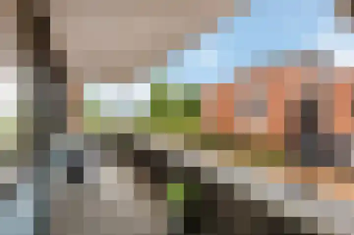 Zuiderpoort 32 Echt thumbnail 23