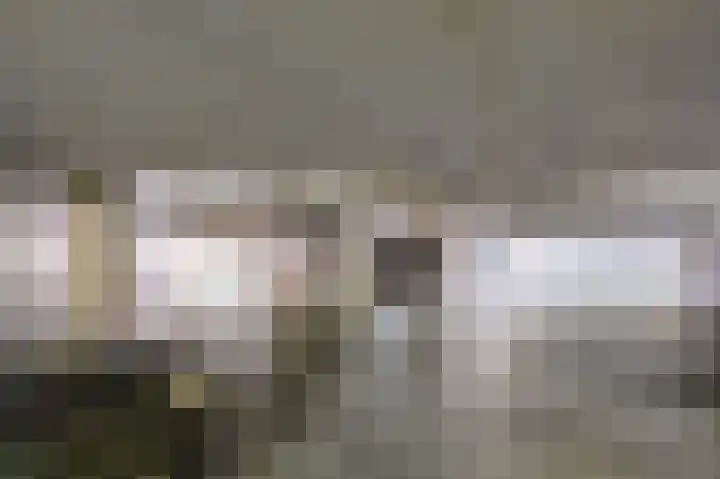 Zuiderpoort 32 Echt thumbnail 37