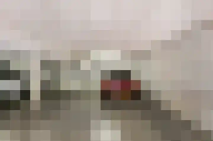 Zuiderpoort 32 Echt thumbnail 38