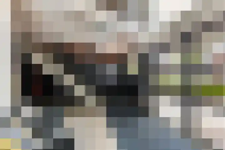 Zuiderpoort 32 Echt thumbnail 7