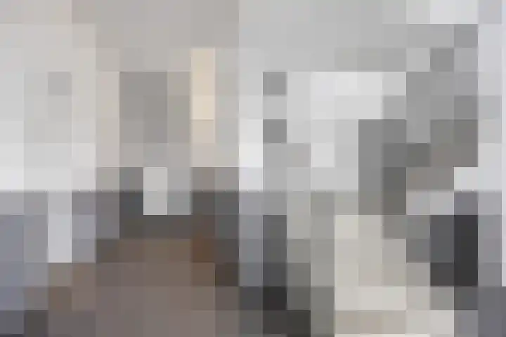 Zuiderpoort 36 Assen thumbnail 14