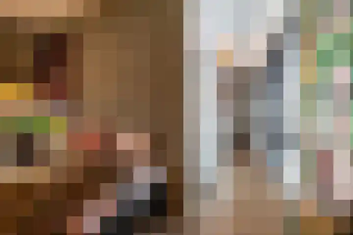 Zuiderpoort 36 Assen thumbnail 31