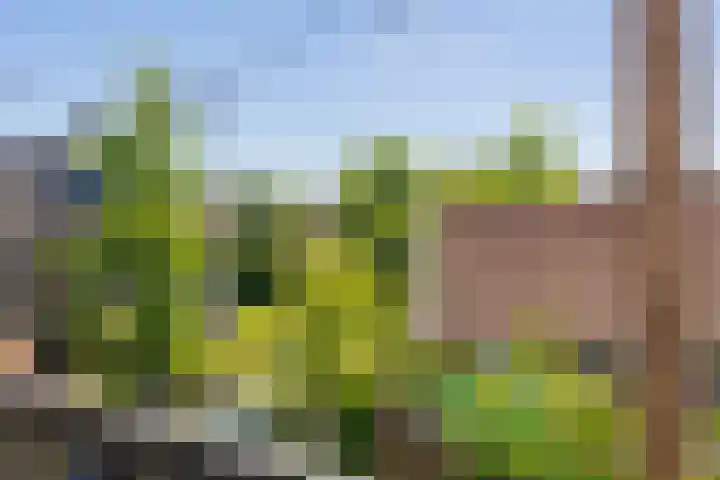 Zuiderpoort 36 Assen thumbnail 7