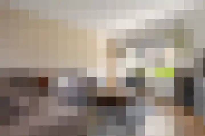 Zuiderpoort 41 Echt thumbnail 10