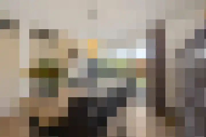 Zuiderpoort 41 Echt thumbnail 13