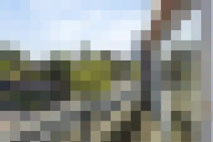 Zuiderpoort 41 Echt thumbnail 37