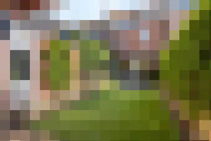 Zuiderpoort 41 Echt thumbnail 42