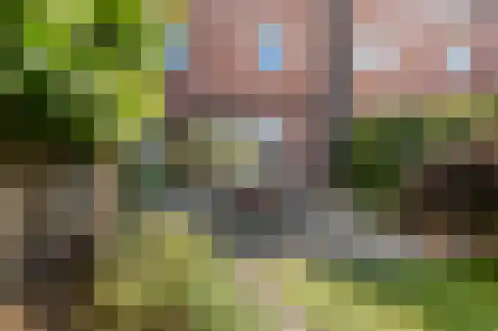 Zuiderpoort 41 Echt thumbnail 43