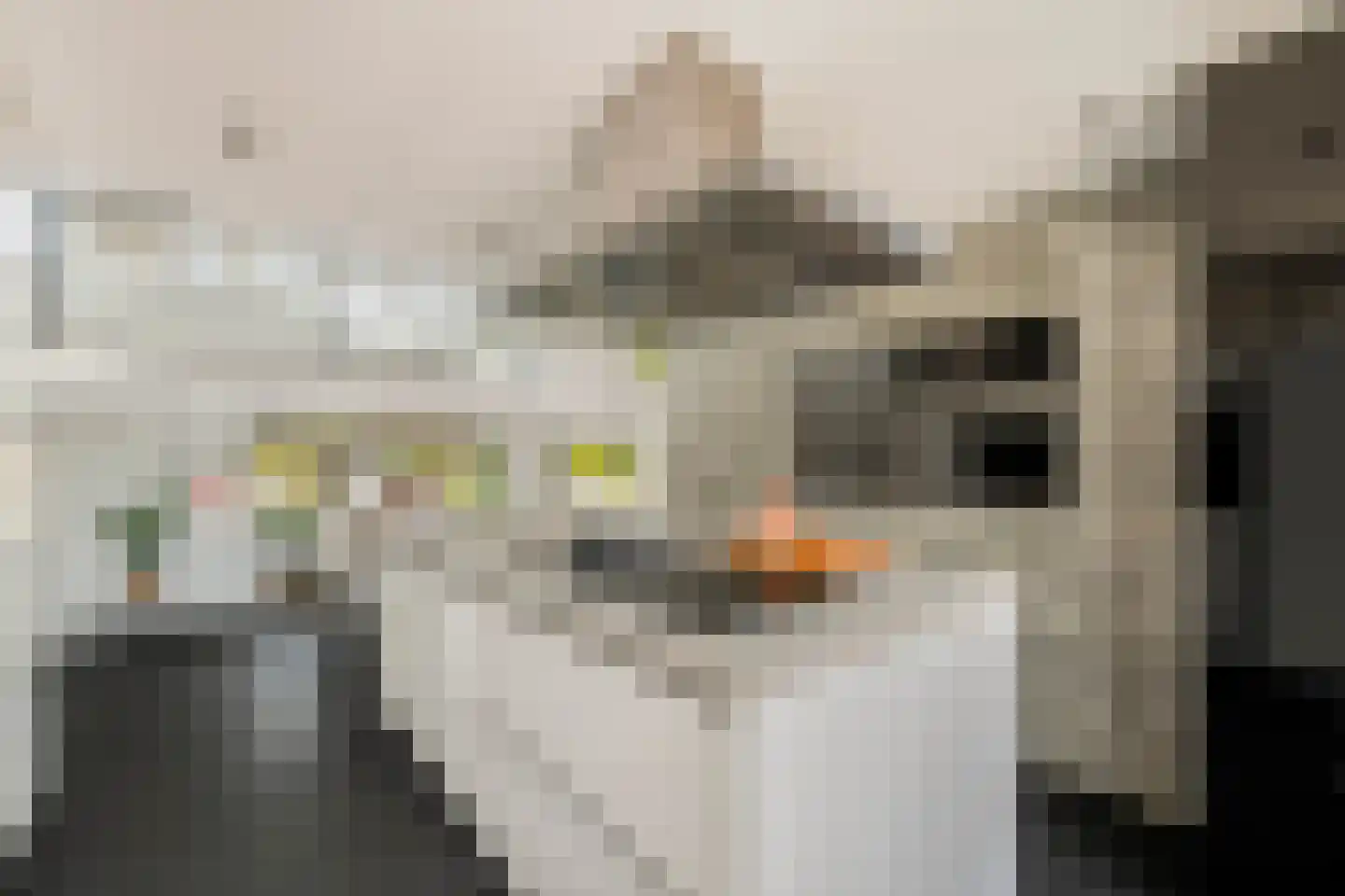 Zuiderpoort 48 Nieuw-Vennep thumbnail 16