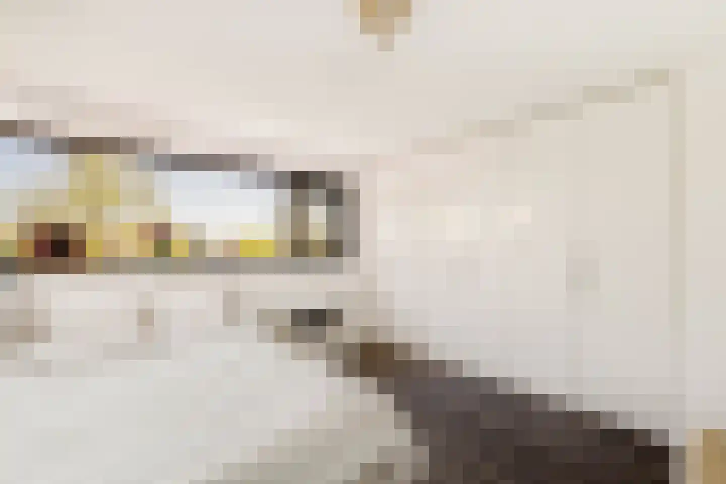 Zuiderpoort 48 Nieuw-Vennep thumbnail 40
