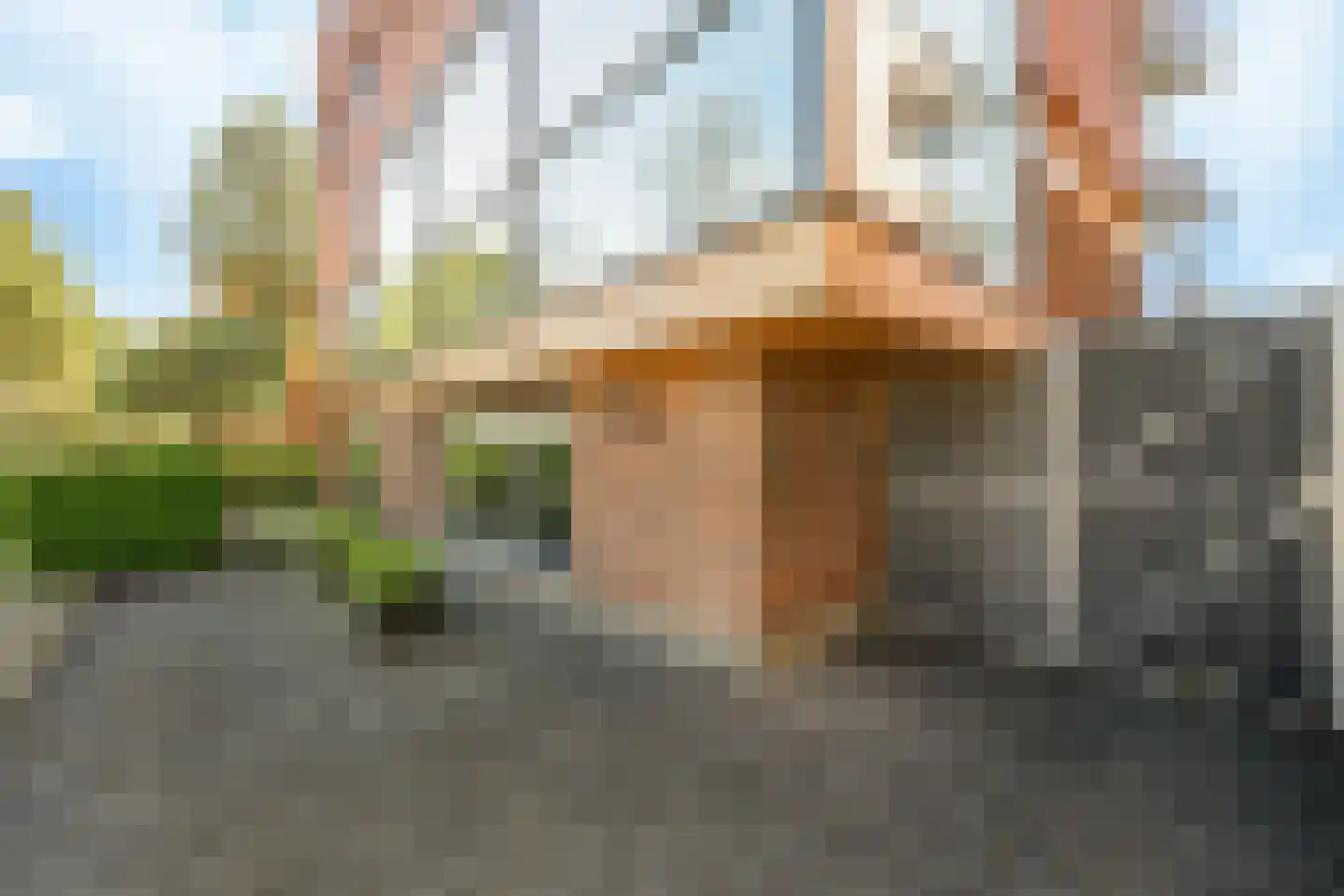 Zuiderpoort 48 Nieuw-Vennep thumbnail 46