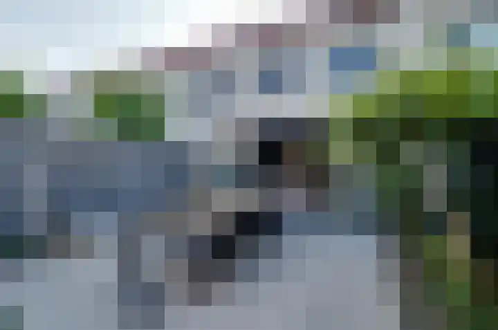 Zuiderpoort 50 Assen thumbnail 23