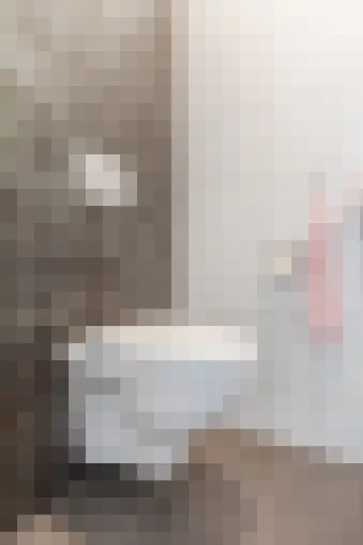 Zuiderpoort 6 Echt thumbnail 16
