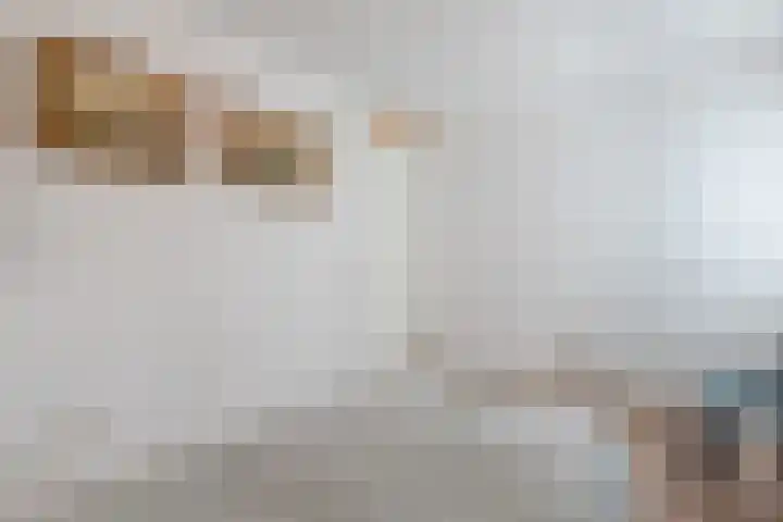 Zuiderpoort 6 Echt thumbnail 31