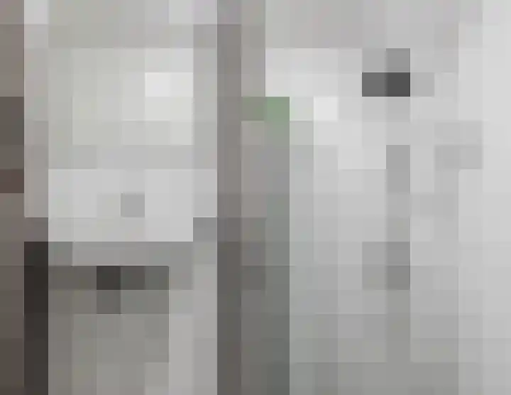 Zuiderpoort 6 Echt thumbnail 36