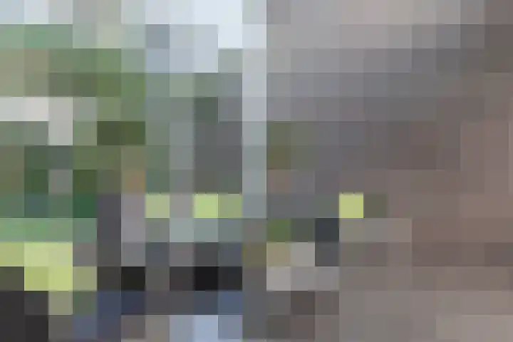 Zuiderpoort 6 Echt thumbnail 6