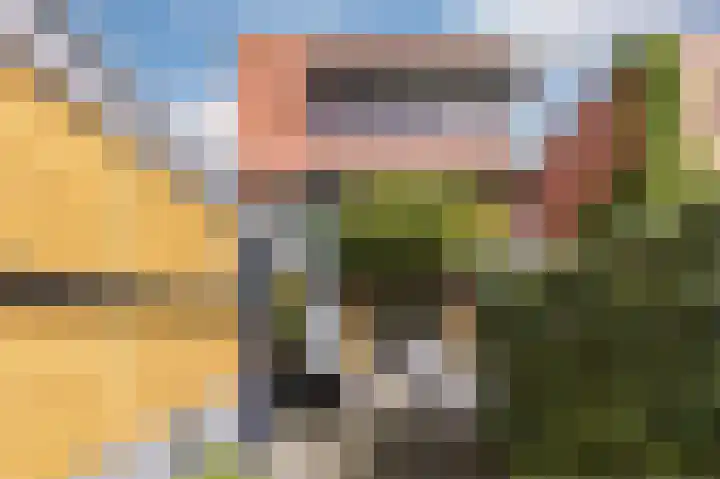Zuiderpoort 88 Nieuw-Vennep thumbnail 6