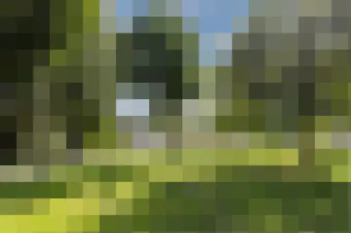 Zuiderpoort 88 Nieuw-Vennep thumbnail 64