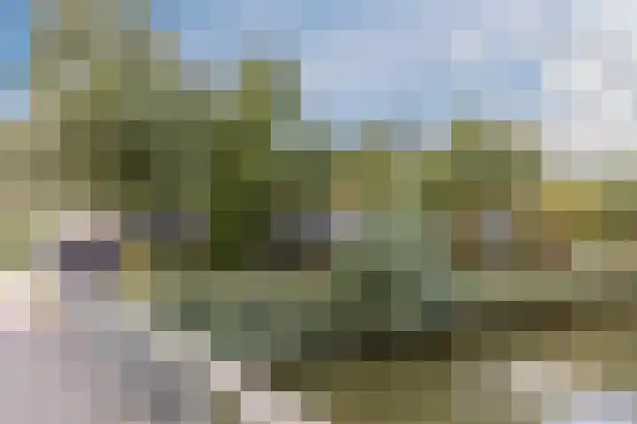Zuiderpoort 88 Nieuw-Vennep thumbnail 66