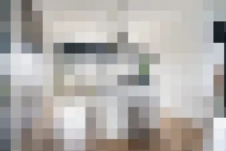 Zuiderrak 39 Sneek thumbnail 10