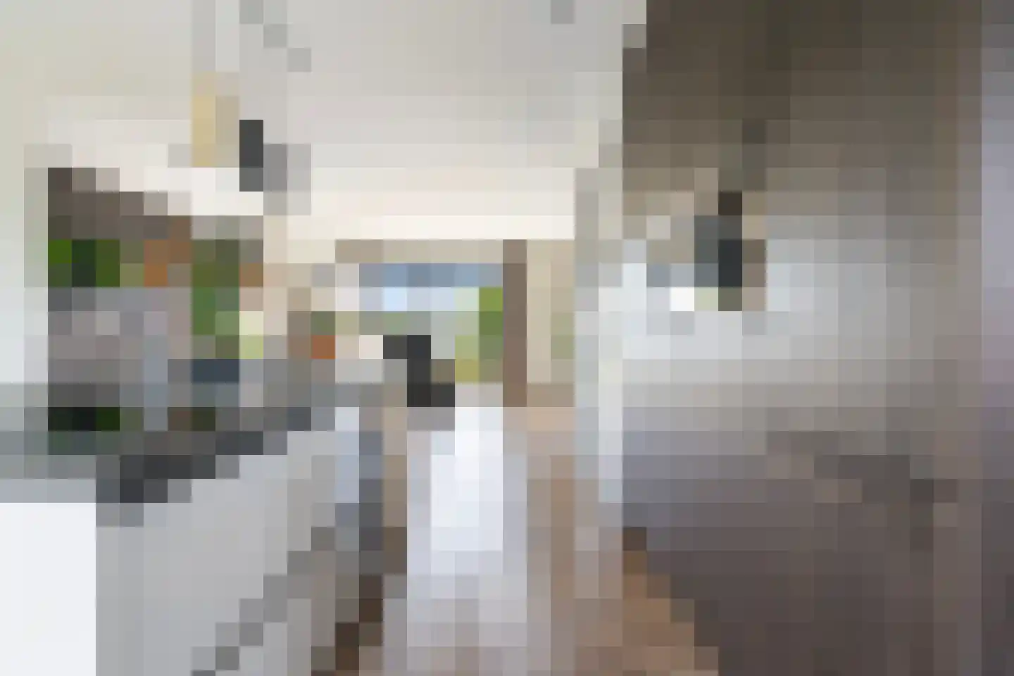 Zuiderrak 39 Sneek thumbnail 13