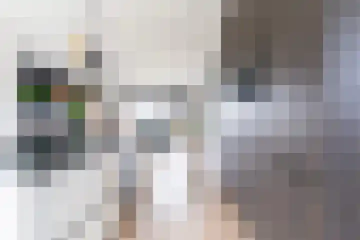 Zuiderrak 39 Sneek thumbnail 15