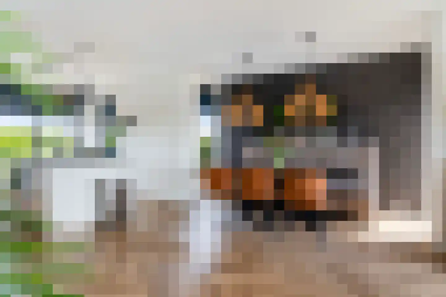 Zuiderrak 39 Sneek thumbnail 15