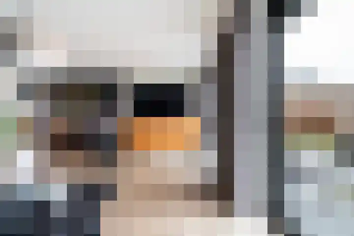 Zuiderrak 39 Sneek thumbnail 18