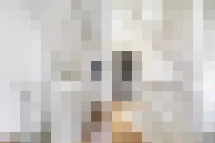 Zuiderrak 39 Sneek thumbnail 20