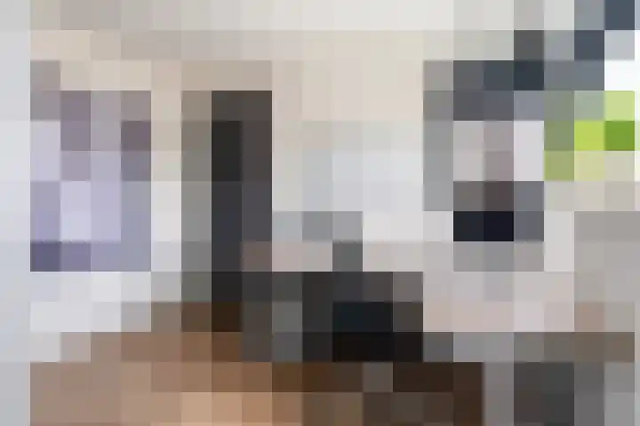 Zuiderrak 39 Sneek thumbnail 24