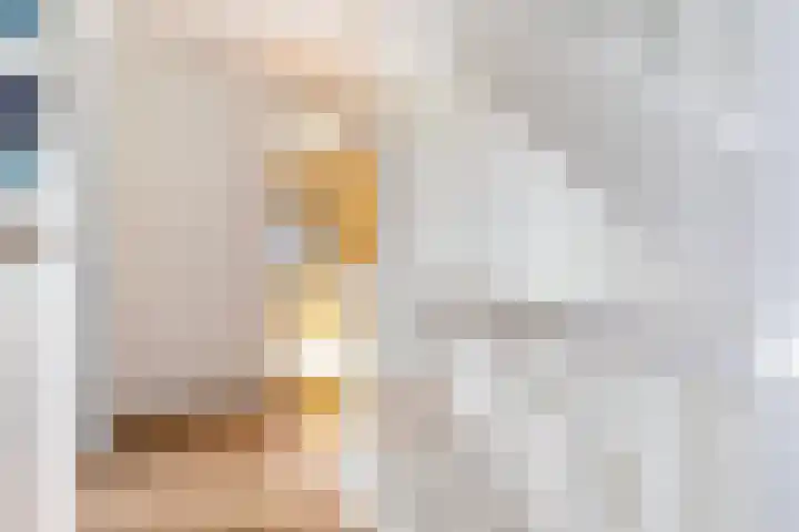 Zuiderrak 39 Sneek thumbnail 34