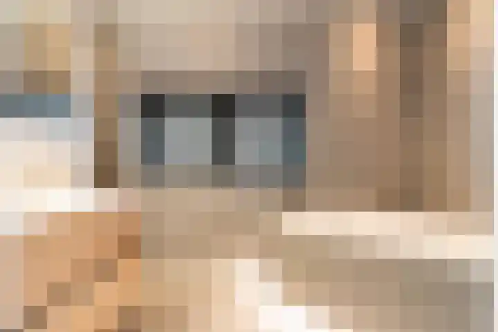 Zuiderrak 39 Sneek thumbnail 35