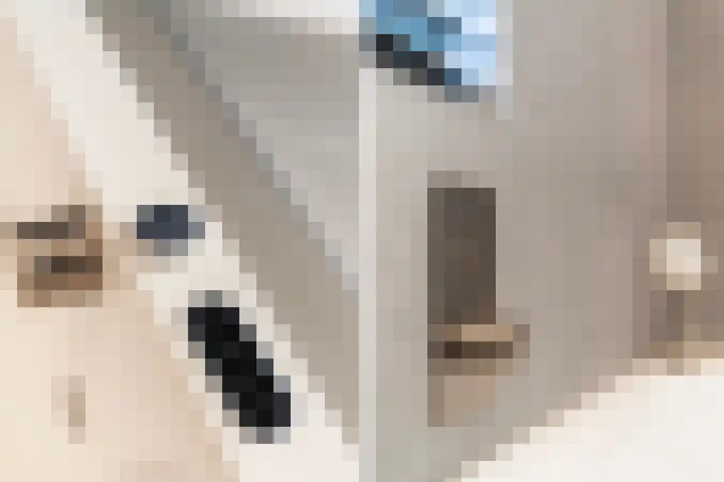 Zuiderrak 39 Sneek thumbnail 36