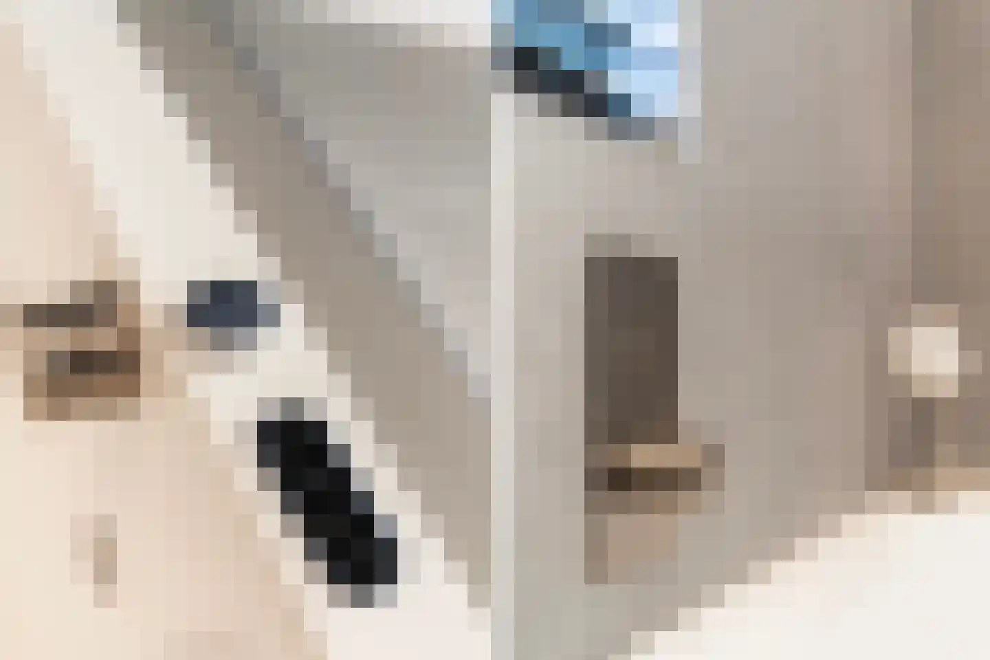 Zuiderrak 39 Sneek thumbnail 37